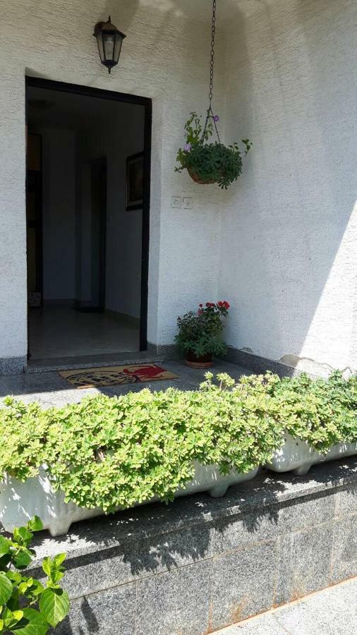 Apartmán App Bajic Umag Exteriér fotografie